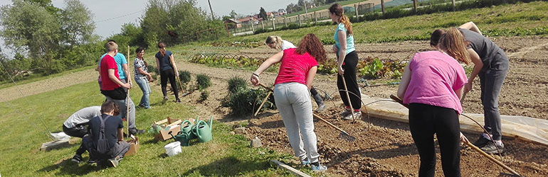 Vrhunski sirevi, voće i povrće s vlastitog imanja