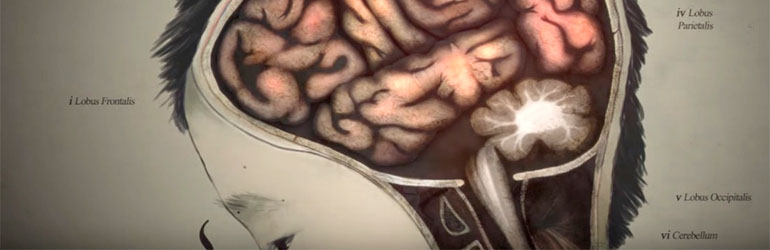 Čitanje i slušanje aktivira iste dijelove mozga