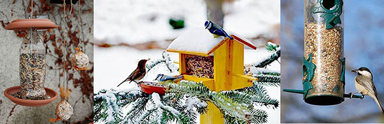 Pomozimo pticama da prezime ekstremno niske temperature