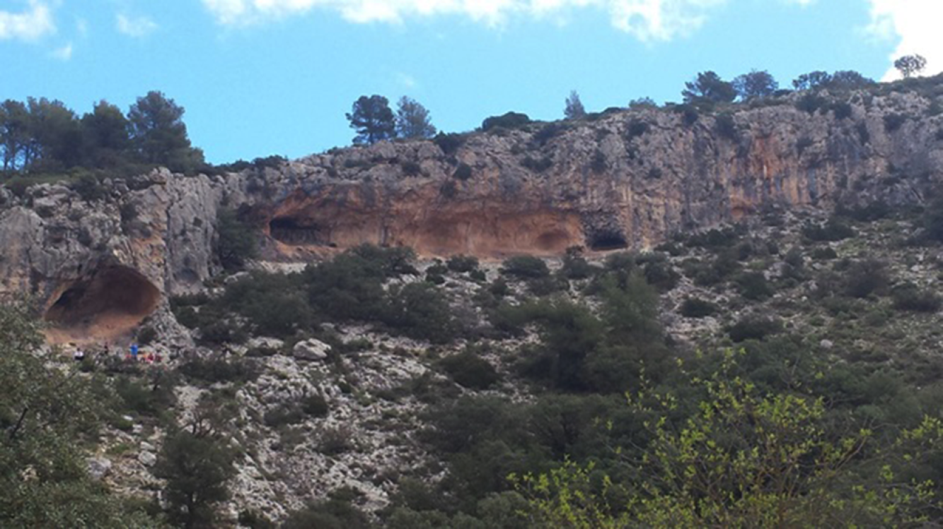La Sarga