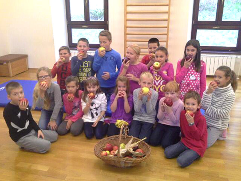 U našoj PŠ Plešivica obilježili smo Dan jabuka prigodnim igrokazom, razgovorom o starim sortama jabuka koje još uzgajaju naši roditelji, bake i djedovi na obroncima Plešivice. 