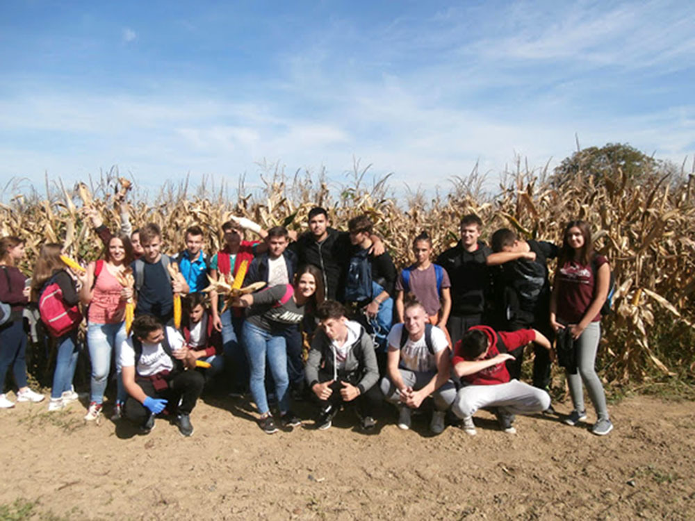 I ove jeseni učenici  poljoprivrednih zanimanja Srednje škole Marka Marulića Slatina vrlo su aktivni na praktičnoj nastavi.