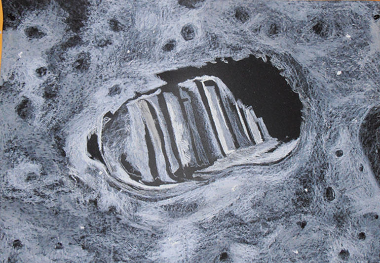 Učenica Glorija Zaić, mentor Ana Čizmić prof. likovne kulture - 8. raz