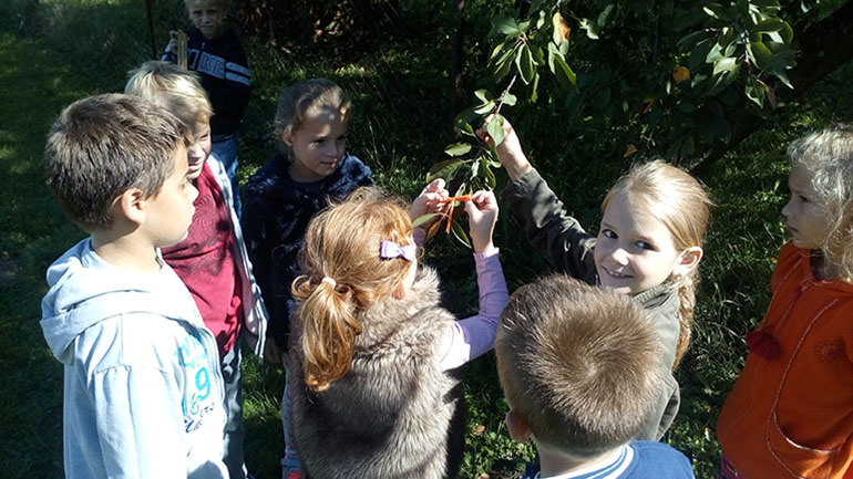 „Označavanje grane radi praćenja“ - Josip Amić, Tin Brblić, Antonela Francuzović, Marijana Božić, Maja Francuzović i Denis Borovička 