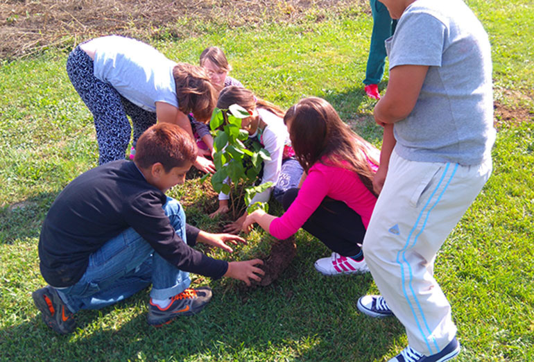  „Sadnja jorgovana“  - Nikolina Mrak, Lana Buljan, Patricija Orban, Tamara Amić, Mate Udurović i Goran Gubić