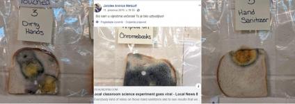 Školski portal: Učiteljica na primjeru pljesnivog kruha pokazala zašto je važno prati ruke sapunom