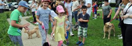 Školski portal: Kolegama pokazali svoje ljubimce, ali i kako voze bicikl