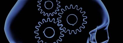 Školski portal: Važnije je razumjeti nego znati 