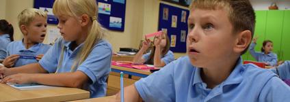 Školski portal: Vjerovanje u stilove učenja može biti štetno!