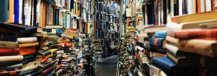 Školski portal: Ako se želite uzdignuti iznad prosječnosti, čitajte što više knjiga!