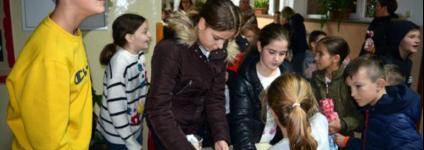 Školski portal: Osnovnoškolci organizirali božićnu humanitarnu lutriju
